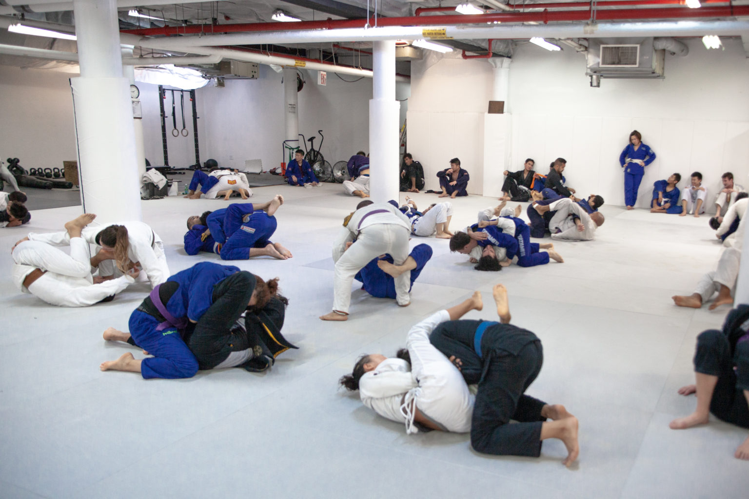 jiu jitsu classes nyc Xiomara Culp